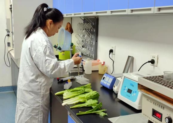 Food Industry Analysis