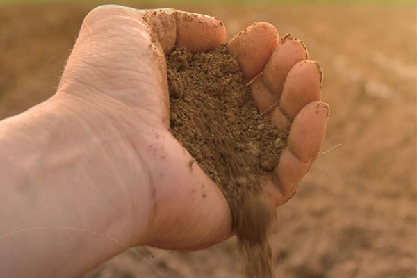 Soil and Pesticide Analysis