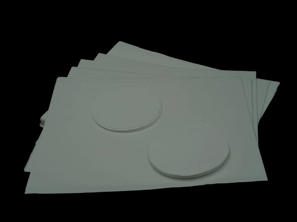 Quartz microfiber filters (1)